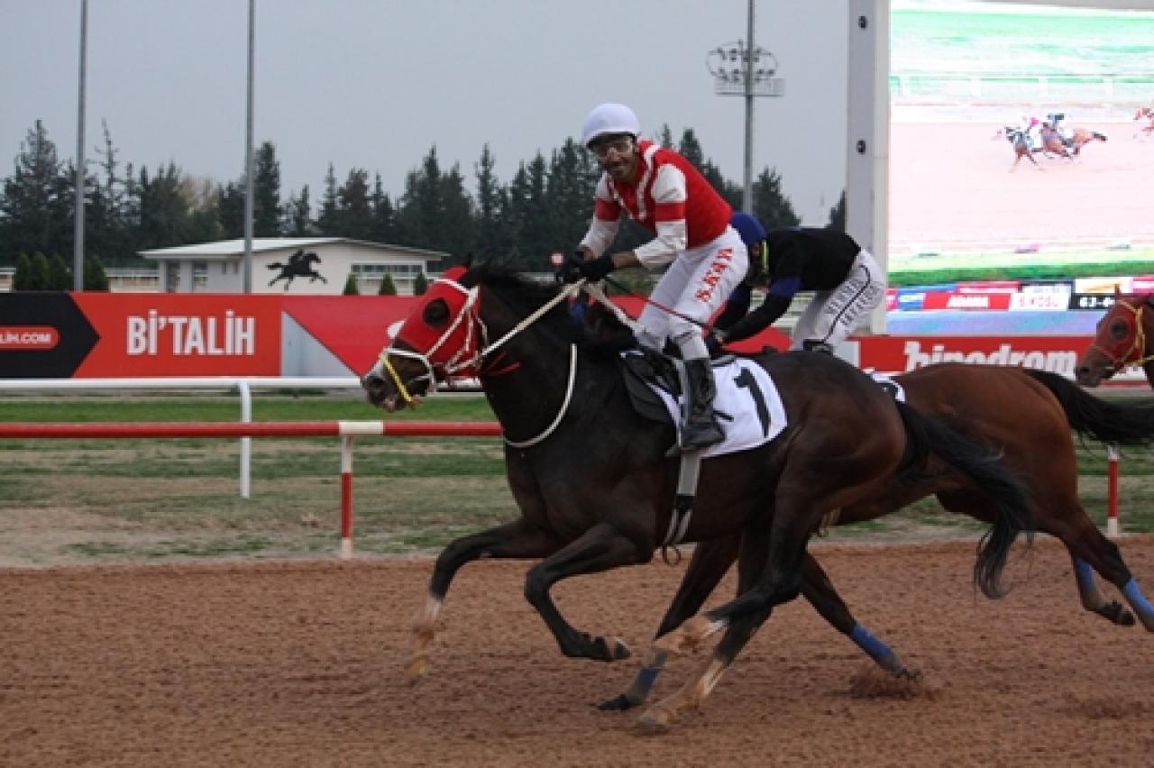 Adana'nın Kurtuluşu Koşusu'nu Altınsima kazandı
