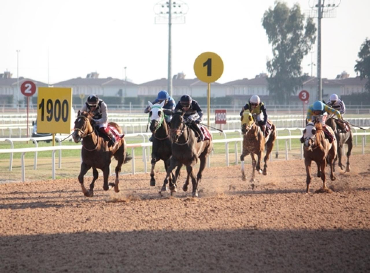 Çukurova Gazeteciler Cemiyeti Koşusu’nu My Catherine kazandı