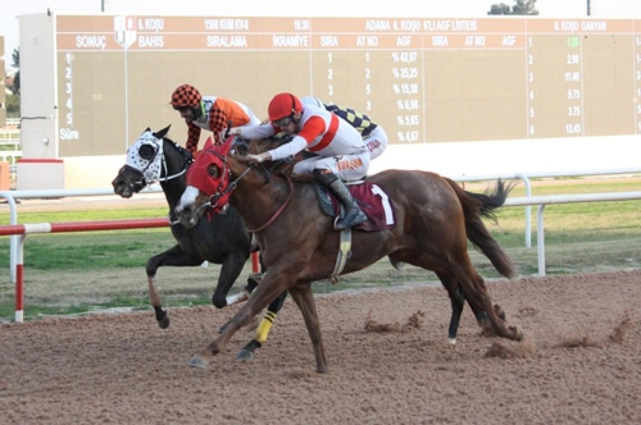 Ali Samsa Karamehmet Koşusu’nda kazanan Froster oldu