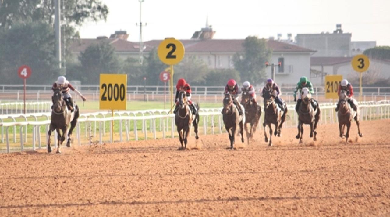 Seyhan Belediye Başkanlığı Koşusu'nun galibi Baybars Han oldu