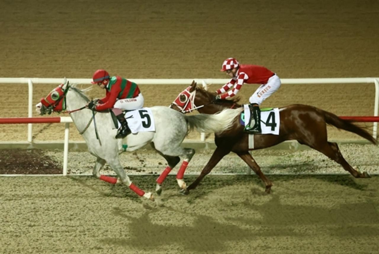 Antalya’daki G3 koşuyu Gürbüz Tay kazandı