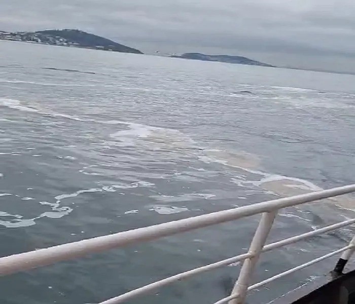 BÜYÜKADA’DA MÜSİLAJ GÖRÜLDÜ