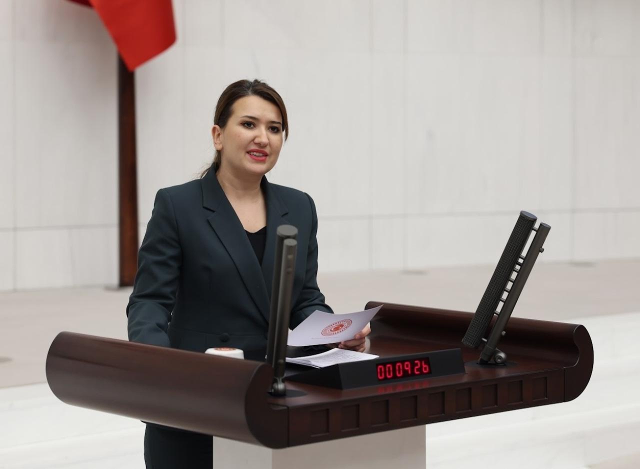 Gökçe Gökçen, TBMM Genel Kurulunda Türkiye Adalet Akademisi Kanunu Teklifi Üzerine Konuştu