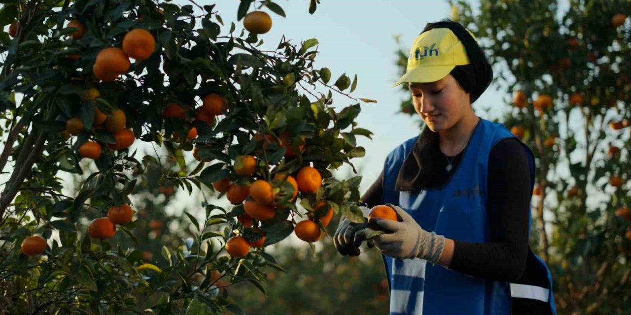 YAŞ MEYVE VE SEBZE İHRACAT REKORTMENİ ALTUN’DAN HALKA ARZ BAŞVURUSU
