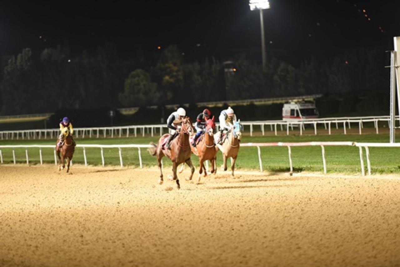 Adil Tügel Koşusu'nu Özbucak kazandı
