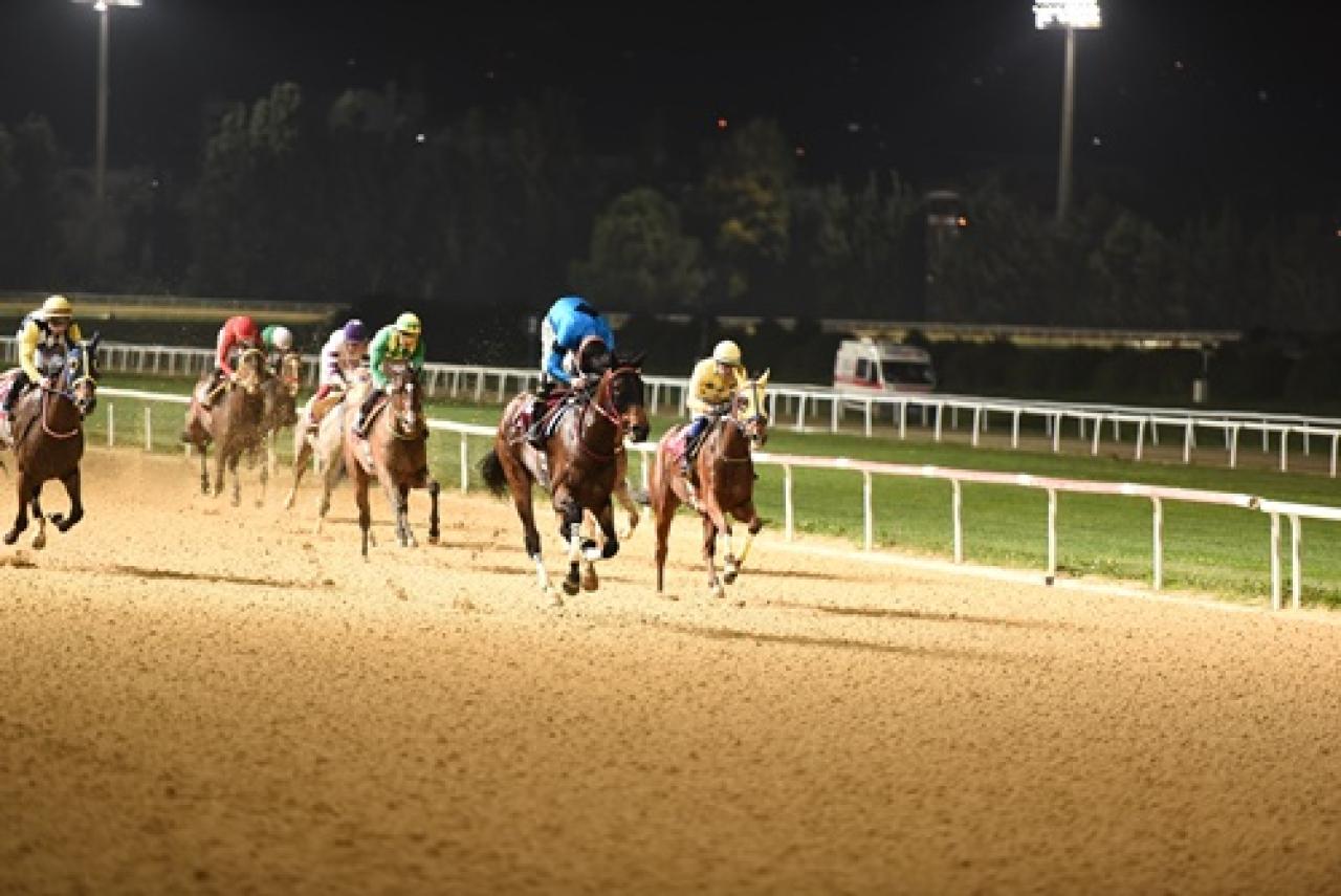Buca Kaymakamlığı Koşusu'nu Sweet Sacrifice kazandı
