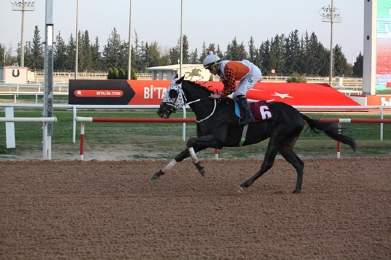 Mersin Büyükşehir Belediye Başkanlığı Koşusu’nu Zambur Aga kazandı