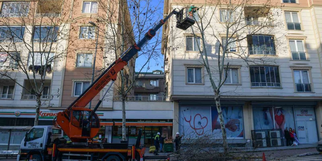 ESENYURT’TA AĞAÇLAR BUDAMA ÇALIŞMALARIYLA GÜÇLENİYOR