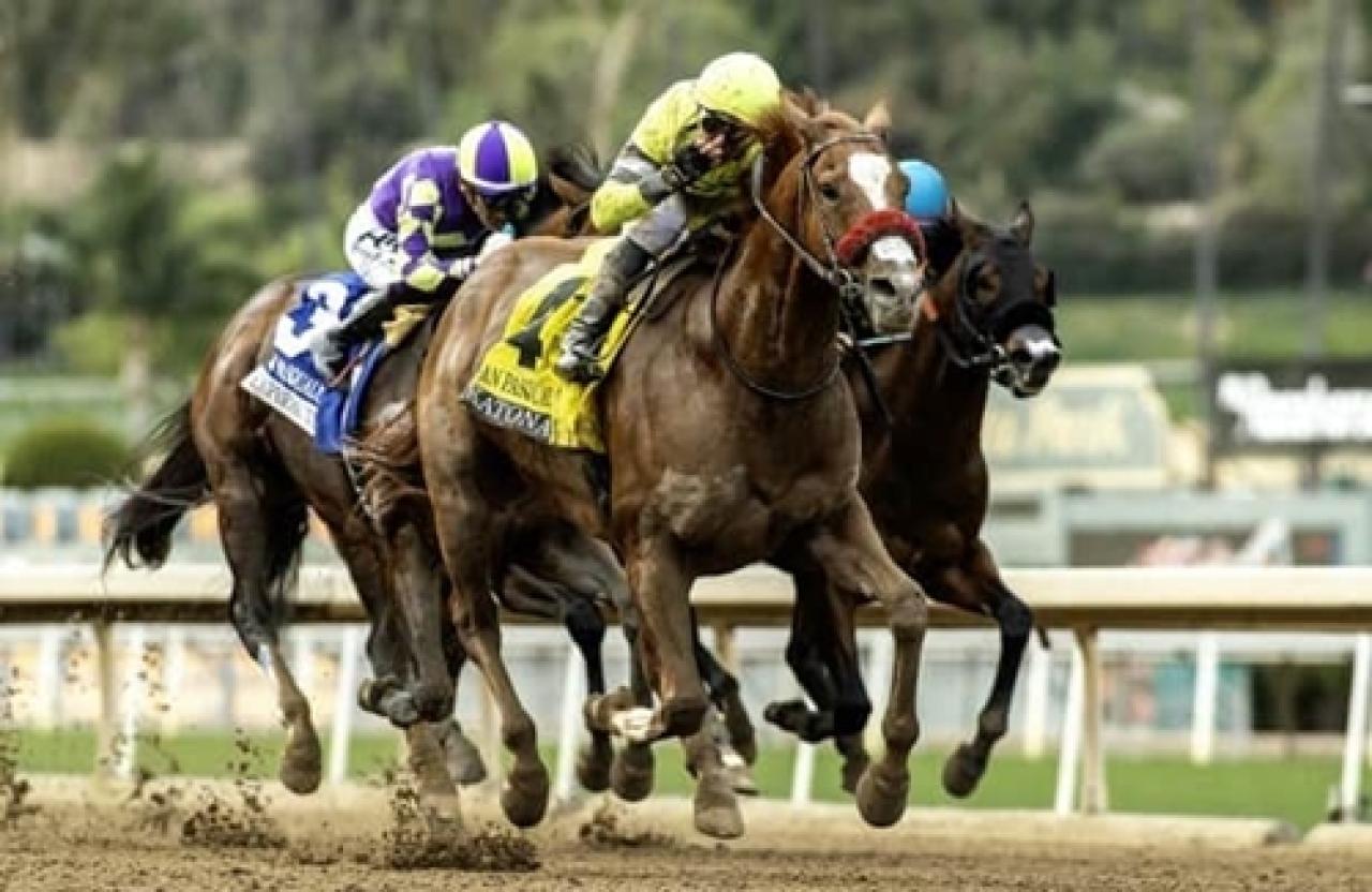 Klimt temsilcisi Katonah'dan G2 San Pasqual Stakes galibiyeti