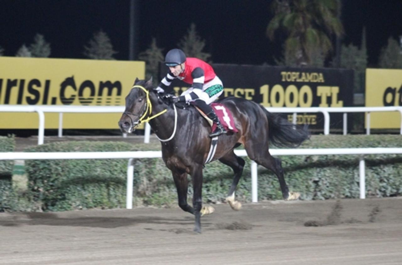 Harran Belediyesi Koşusu’nu Barbar Çakal kazandı