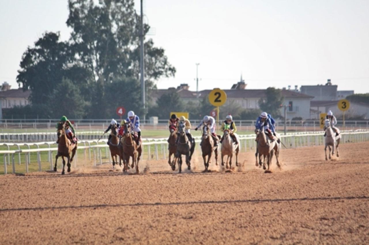 Yüreğir Belediyesi Koşusu'nu Ateşim kazandı