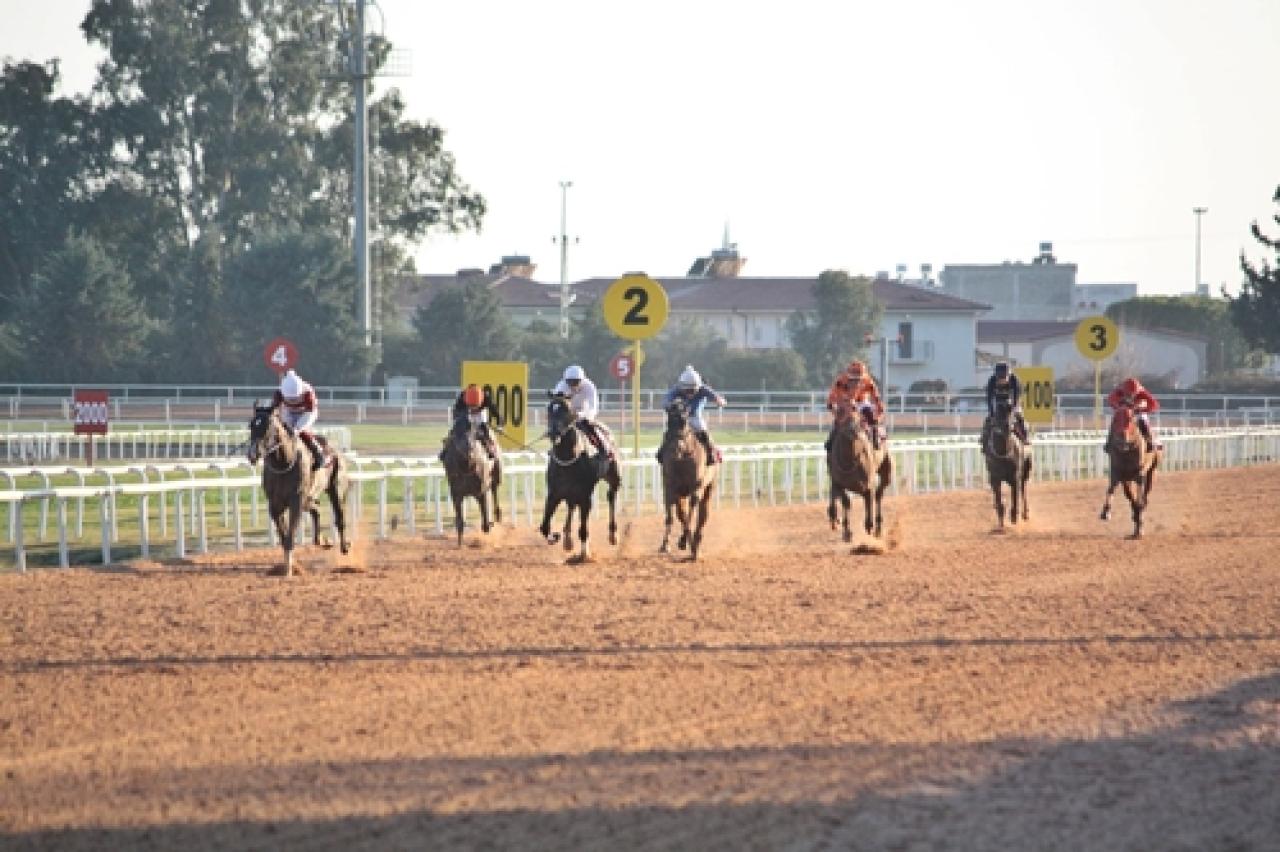 Faruk Ayral Koşusu'nda galibiyete Baybars Han uzandı