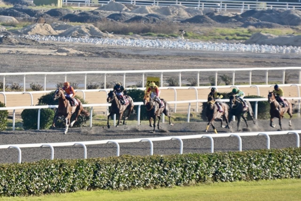 Prof. Dr. Mecdi Ramazanoğlu Koşusu'nu Al Tan kazandı