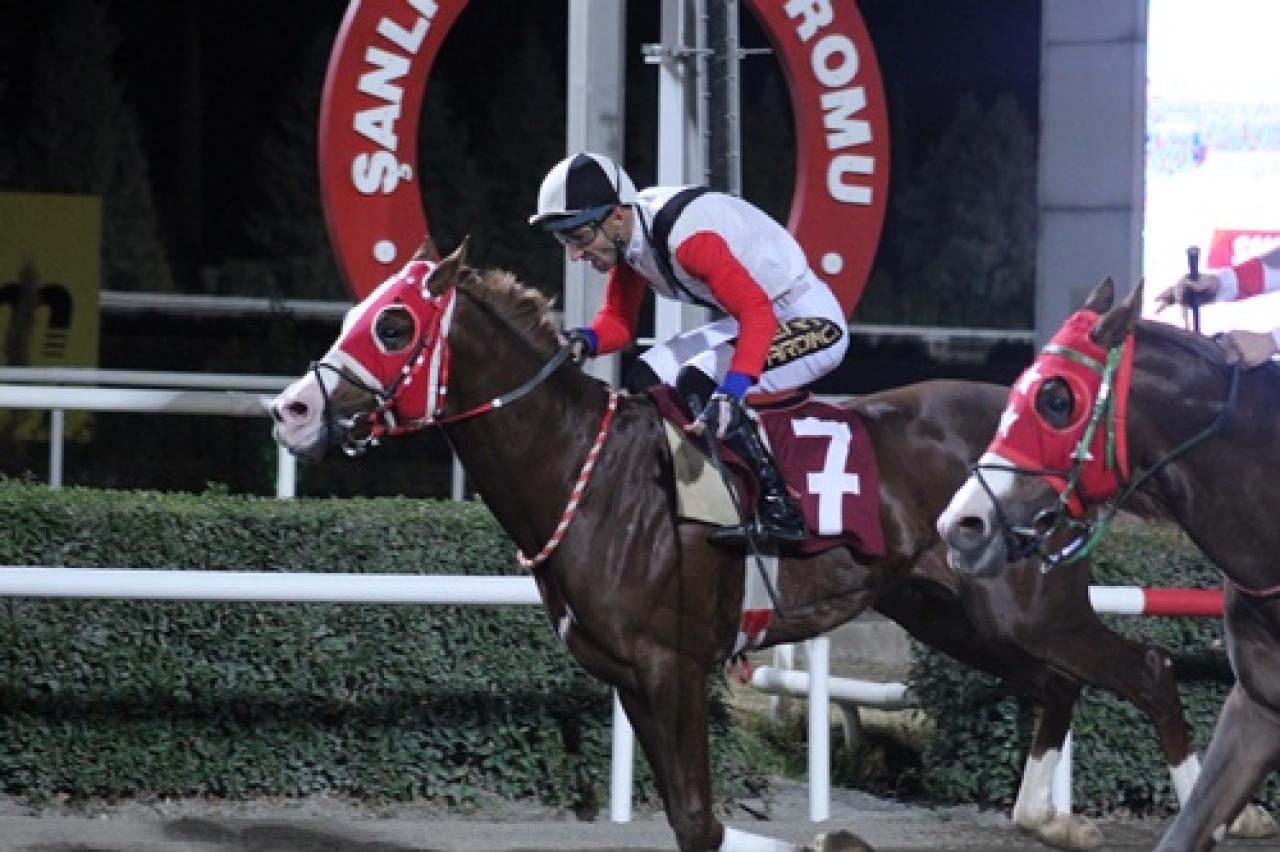 Göbeklitepe Koşusu'nu Kaanhakan kazandı