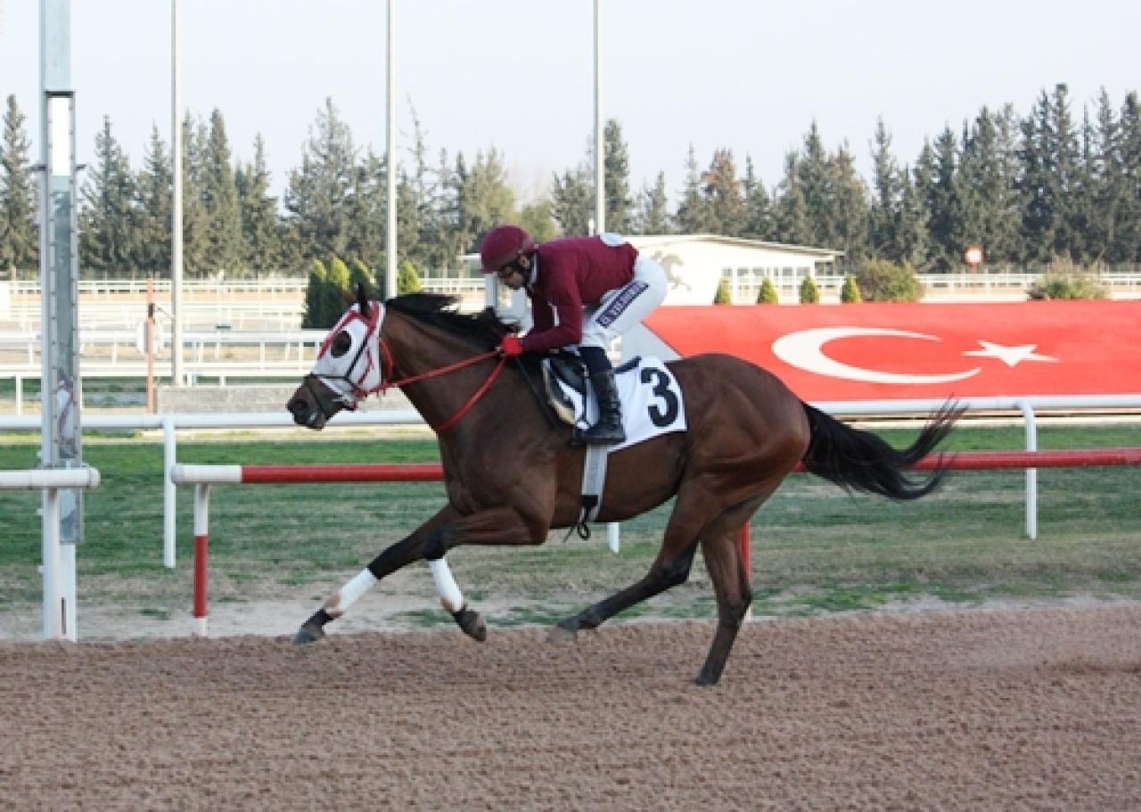 Adana’daki G3 koşuyu Superbella kazandı