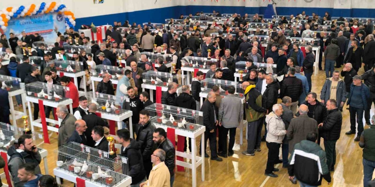 ESENLER GÜVERCİN FESTİVALİ’NE BÜYÜK İLGİ