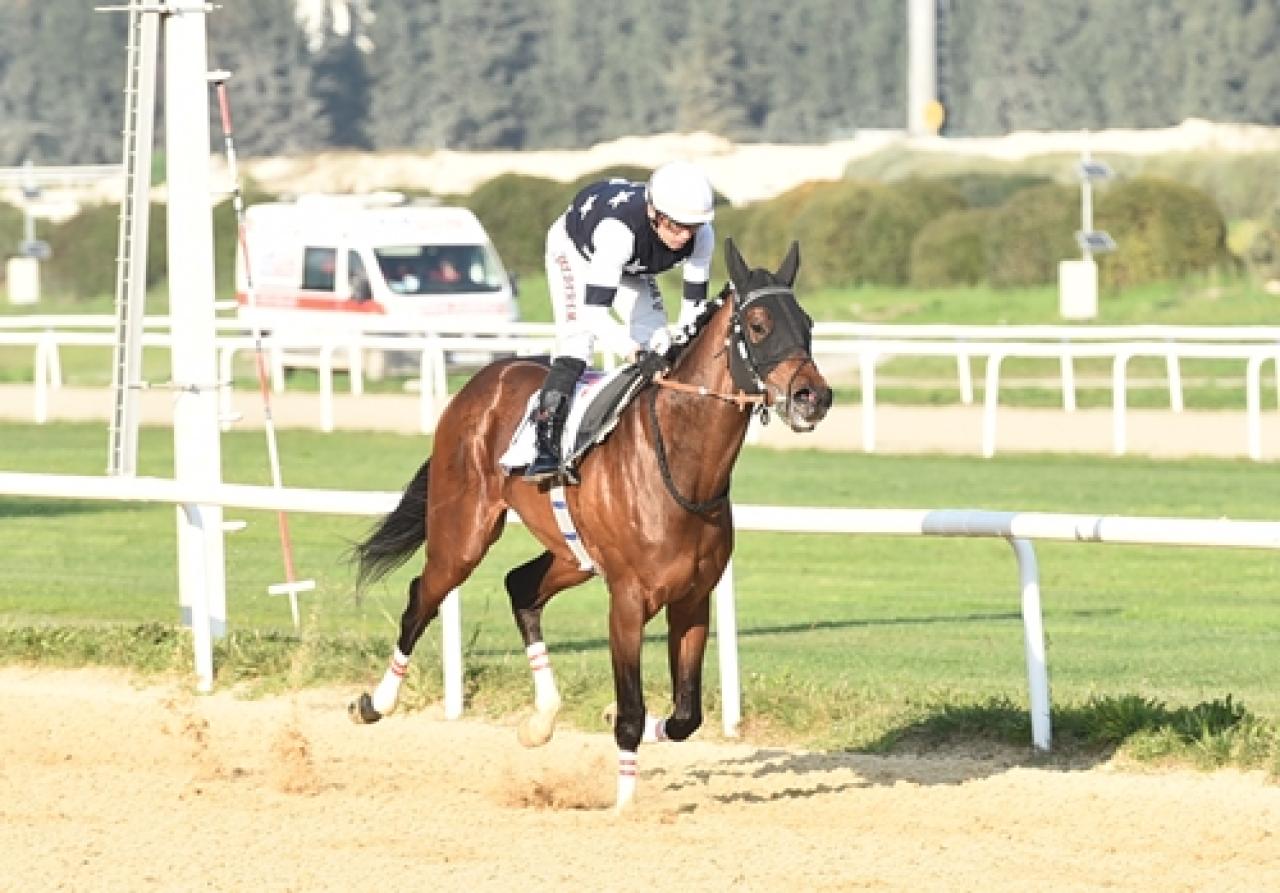 9 Eylül Koşusu'nu Dapper Man kazandı