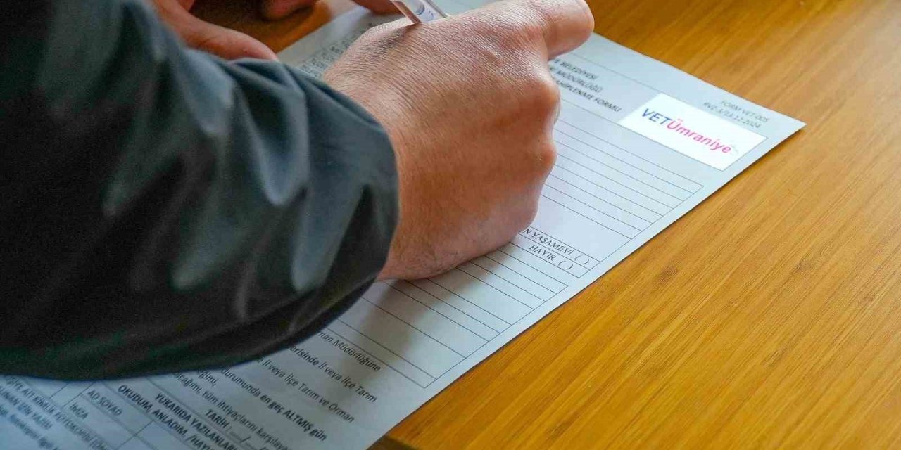 ÜMRANİYE BELEDİYESİ, HAYVAN SAHİPLENMEDE REHBERİNİZ OLUYOR