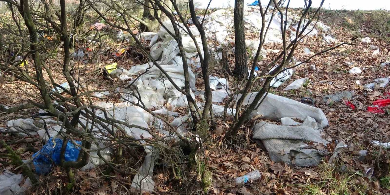 TUZLA’DA MESİRE ALANLARI ÇÖPLÜĞE DÖNDÜ: VATANDAŞLARDAN TEPKİ