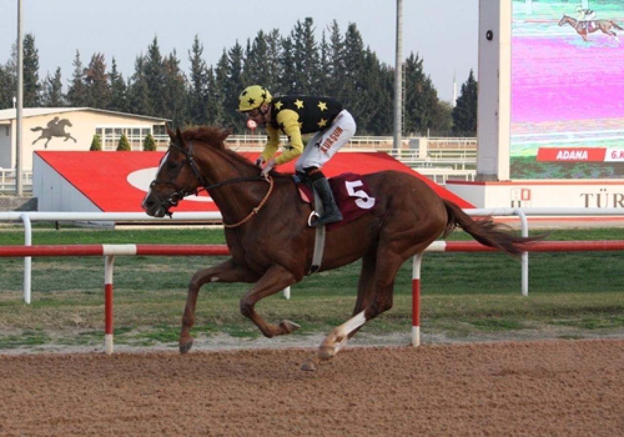 TSYD Adana Şubesi Koşusu’nu Poetry In Motion kazandı