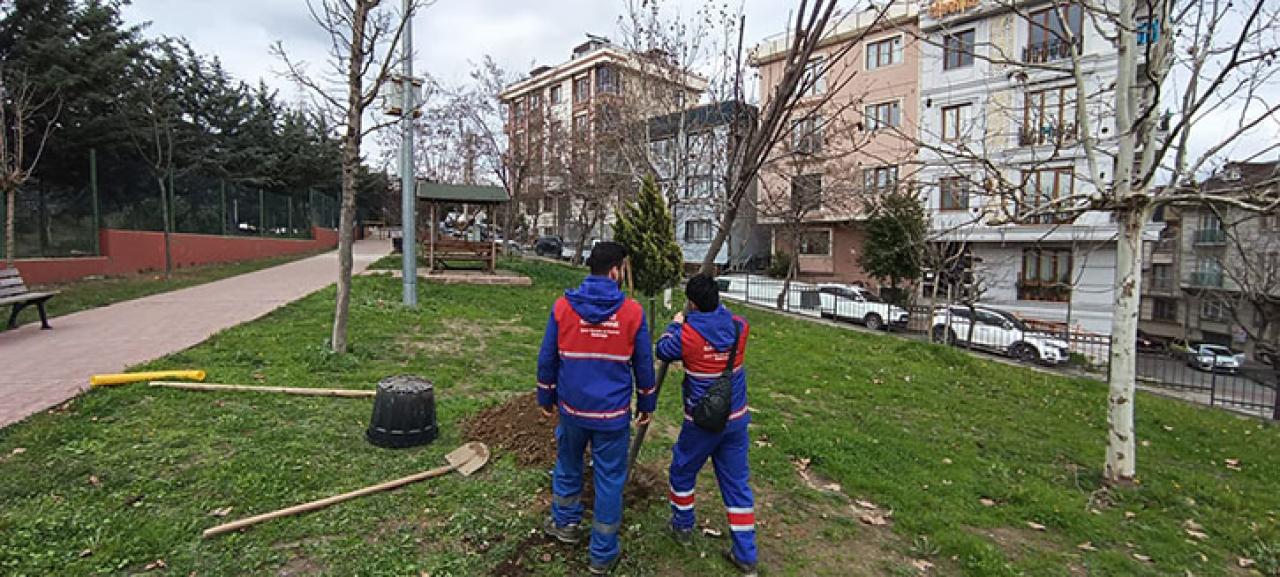 KÂĞITHANE’DE HER DOĞAN BEBEĞE BİR AĞAÇ PROJESİ DEVAM EDİYOR