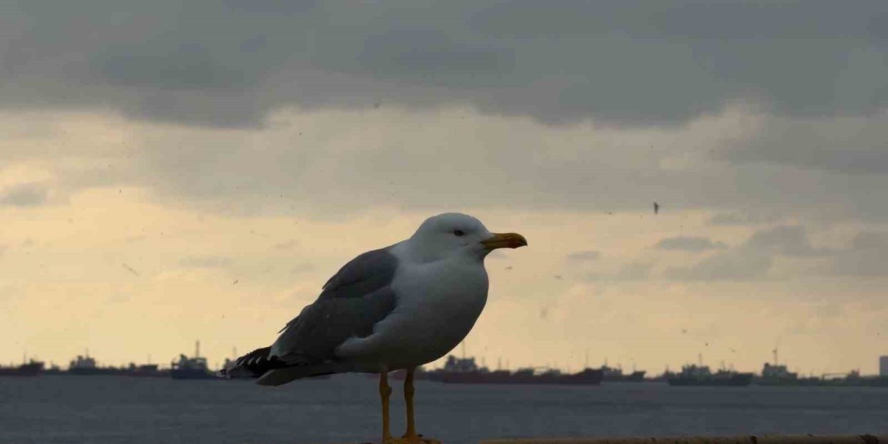 İSTANBUL’DA KAR YAĞIŞI ETKİSİNİ YER YER ARTTIRDI