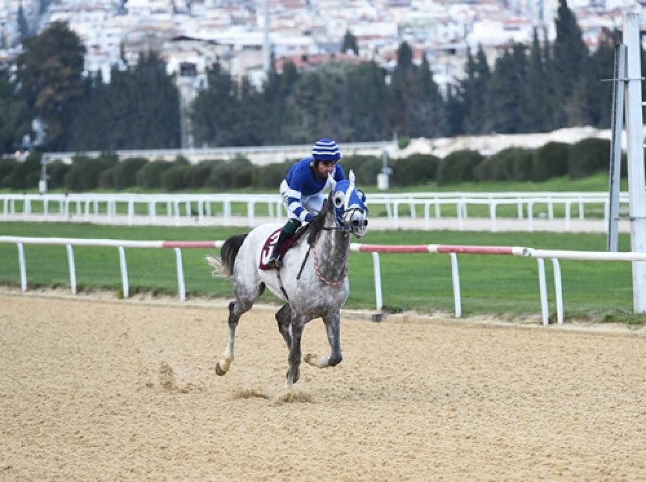 Muhittin Ekiz Koşusu'nu Beyazışık kazandı