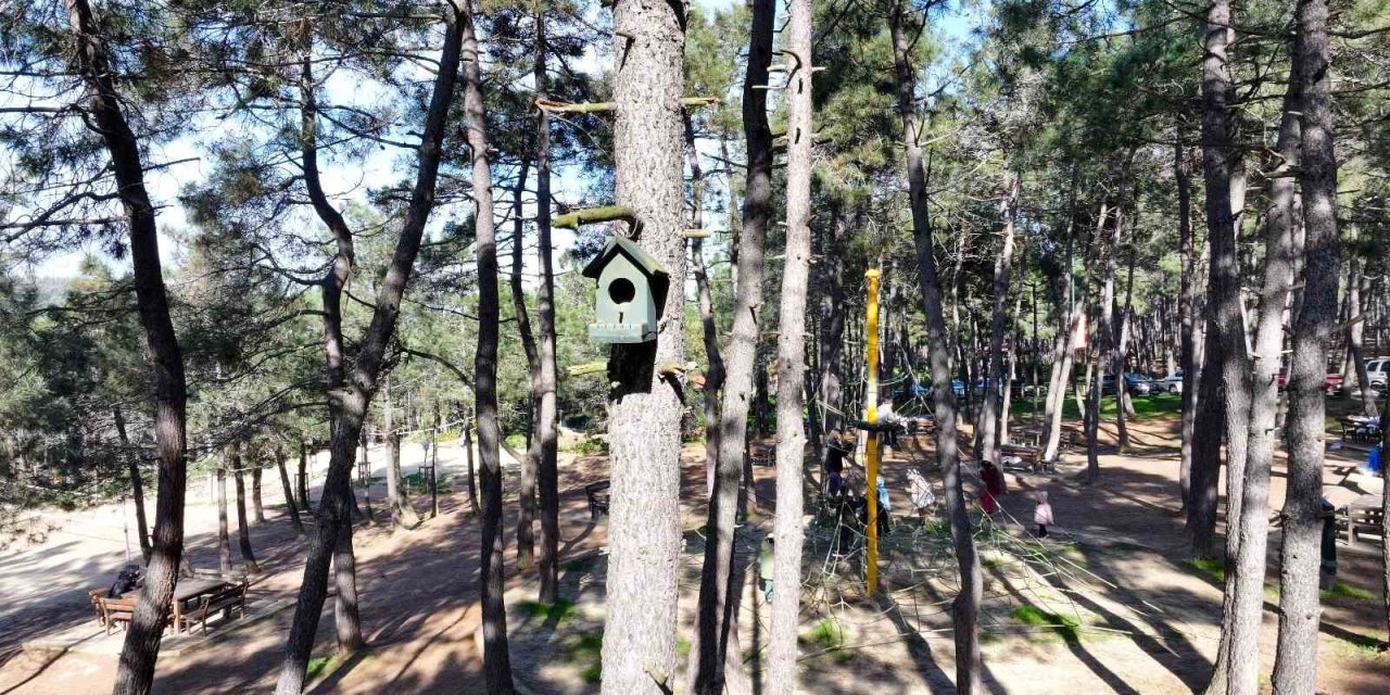 ÜMRANİYE’DE DOĞAYA EN GÜZEL KATKI: ‘KUŞ EVLERİ’