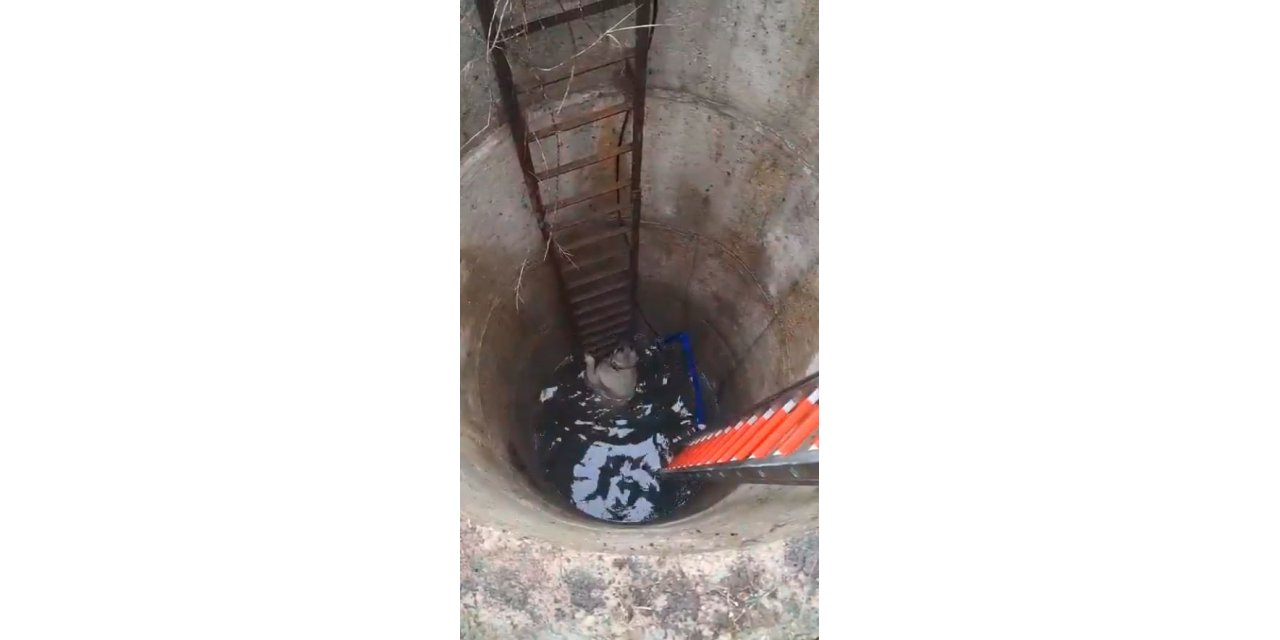 ÇATALCA’DA KUYUYA DÜŞEN KÖPEĞİ İTFAİYECİLER KURTARDI