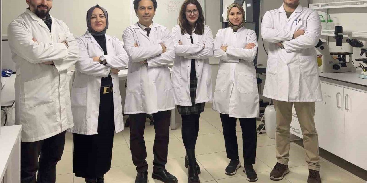 MEME KANSERİ TEDAVİSİNDE YENİ UMUT IŞIĞI