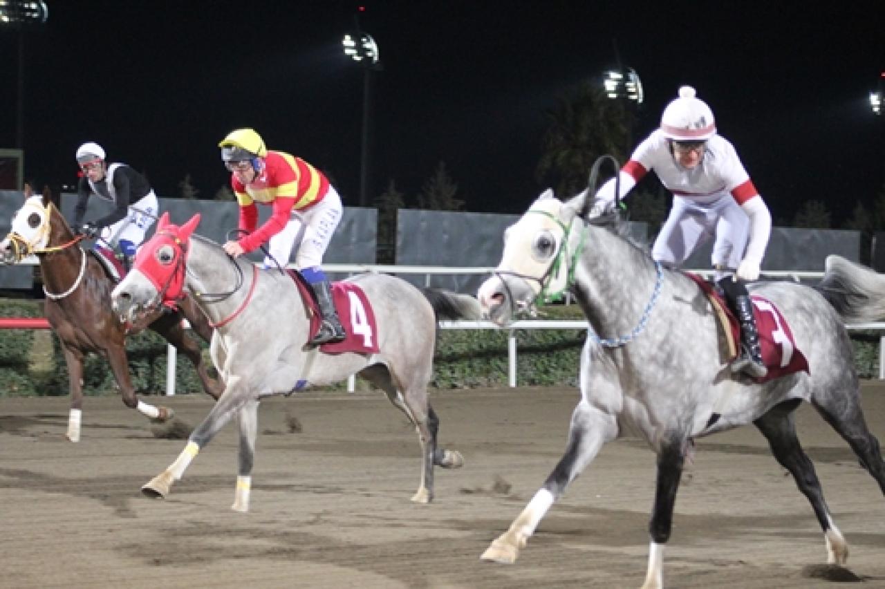 Mahmut Doğan Koşusu'nu Eko Hat kazandı