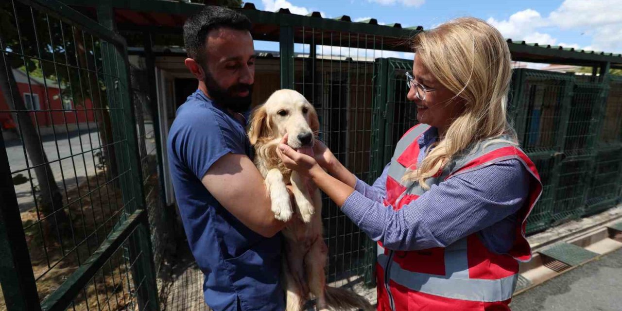 BAKIRKÖY BELEDİYESİ HAYVANLARIN YANINDA