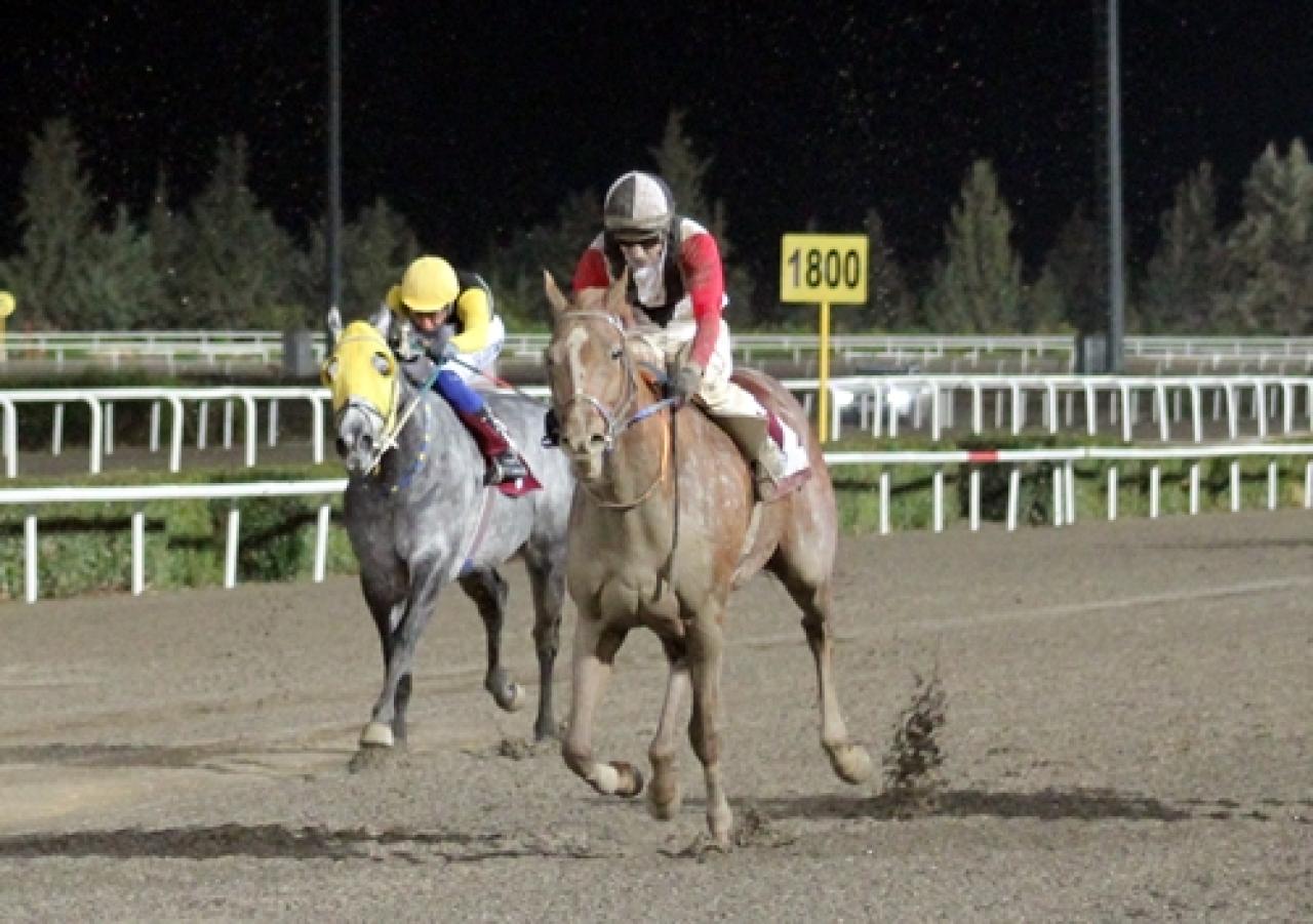 Akçakale Belediyesi Koşusu’nu Turdemirkır kazandı