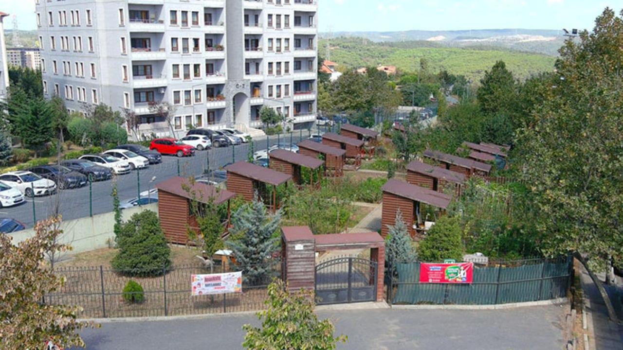 KÂĞITHANE BELEDİYESİ'NDEN DOĞAYLA BULUŞMA FIRSATI: 2025 HOBİ BAHÇELERİ BAŞVURULARI BAŞLADI