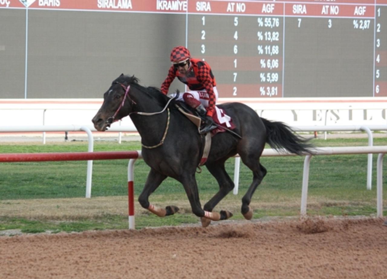 M. Fehmi Dinkçioğlu Koşusu’nu Zolo Muum kazandı