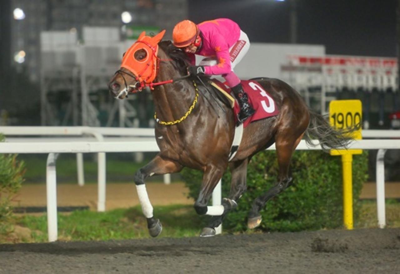 Özkan İşgüden Koşusu'nu Attalos kazandı