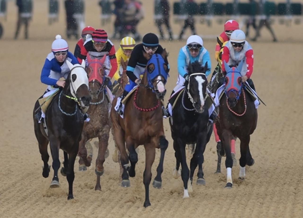 Fehmi Simsaroğlu Koşusu’nda The Protecter beyaz bayrak ayna yaptı