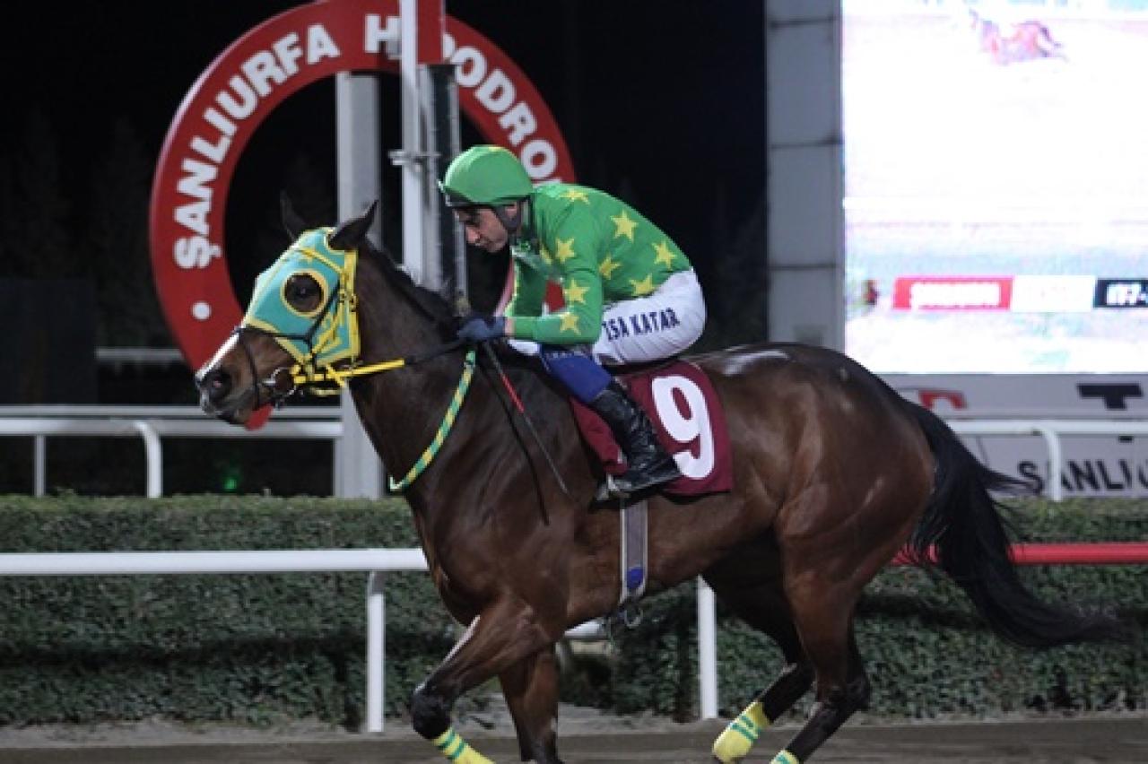 Harran Üniversitesi Veterinerlik Fakültesi Koşusu'nu Blue Queen kazandı