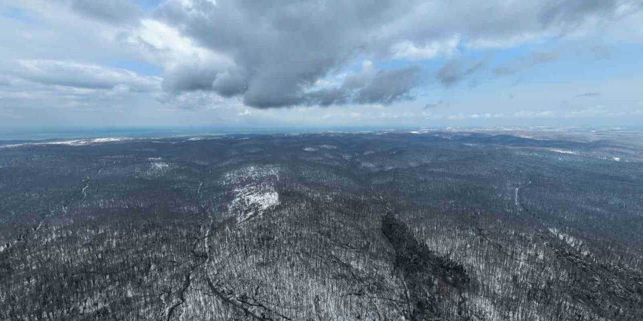 BEYAZA BÜRÜNEN BELGRAD ORMANI HAVADAN GÖRÜNTÜLENDİ