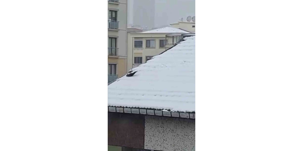 ATAŞEHİR’DE KARGANIN KAR KEYFİ KAMERADA