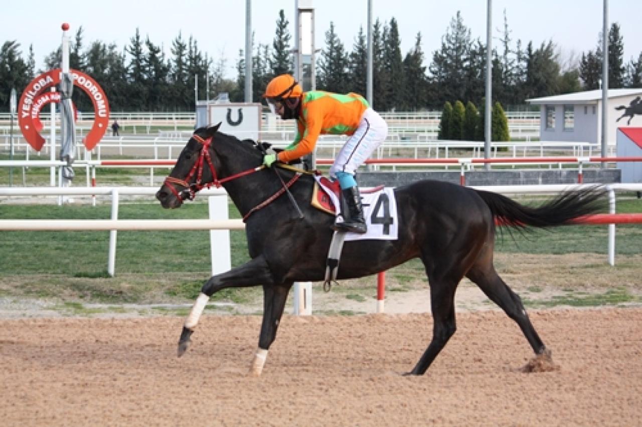 Adana Büyükşehir Belediye Başkanlığı Koşusu'nu Riyakar kazandı
