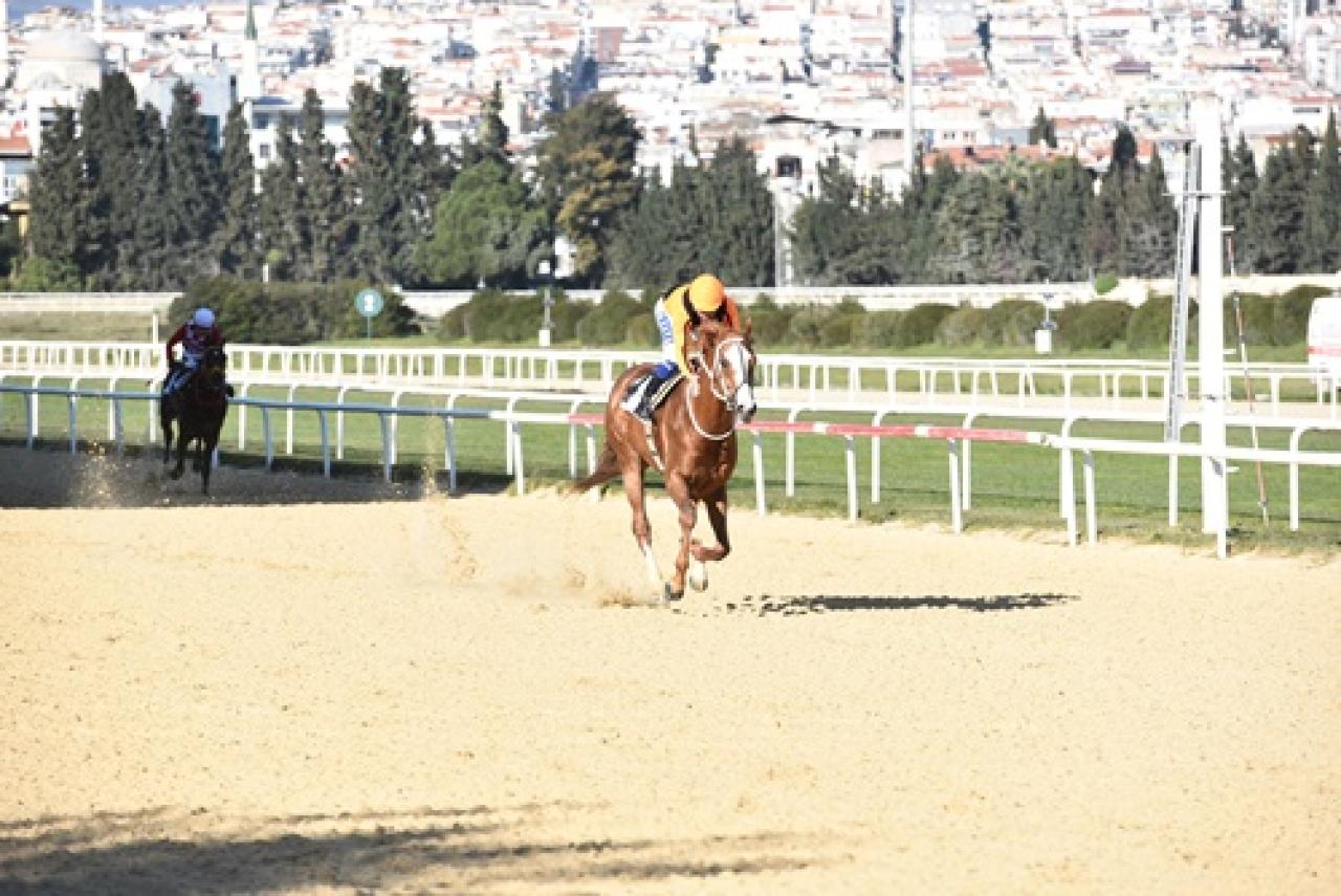 İzmir Büyükşehir Belediye Başkanlığı Koşusu'nu Wardenclyffe kazandı