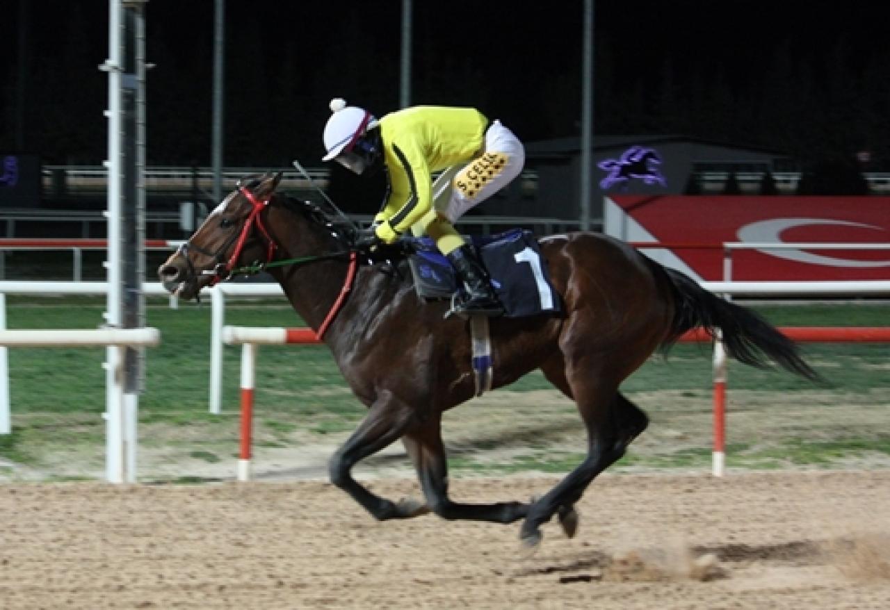 Halis Kökbudak Koşusu’nu My Star kazandı