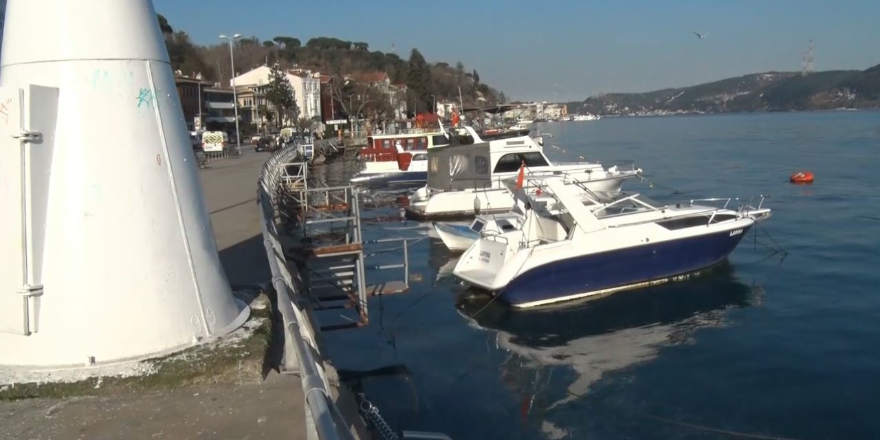 SARIYER’DE BİNLERCE DENİZANASI KIYIYA VURDU