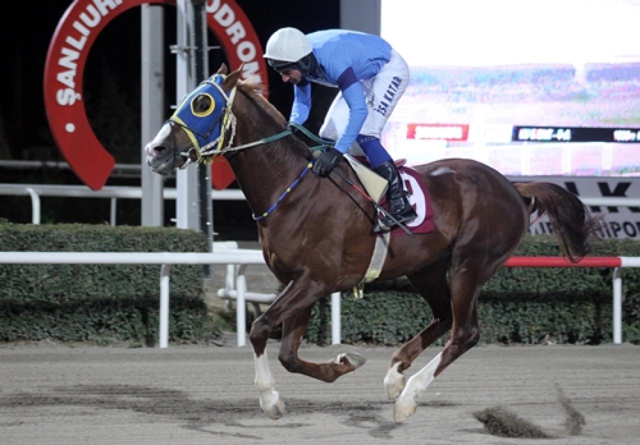 İsmail Çizik Koşusu'nu İlkayoğlu kazandı