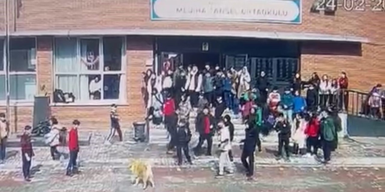 ÜMRANİYE’DE OKUL BAHÇESİNDE KÖPEK DEHŞETİ: 5 ÖĞRENCİYİ ISIRDI