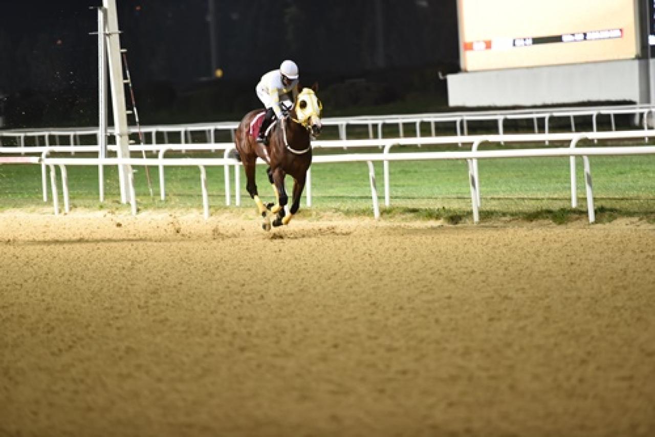 Karşıyaka Belediye Başkanlığı Koşusu'nda kazanan Hard And Fast oldu