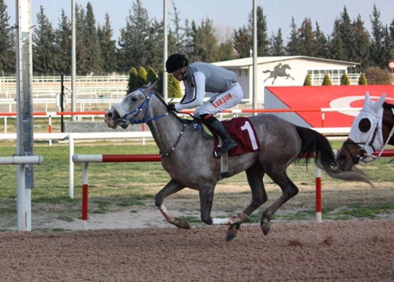 Adana Veteriner Hekimler Odası Koşusu’nda kazanan Naziko oldu