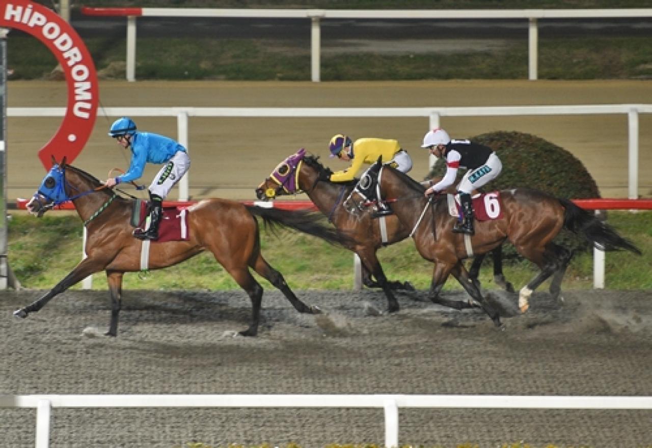 Gültekin Alpay Koşusu’nda galibiyete Koca Seyid ulaştı