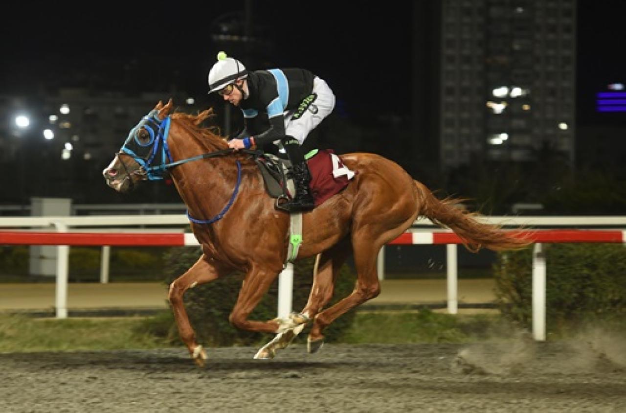 2. Dönem Nalbantlık kursu mezuniyet töreni yapıldı